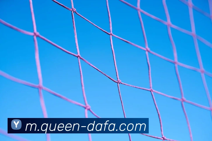 大发娱乐全站App 大发娱乐全站App